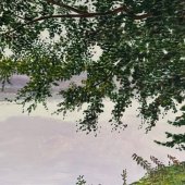 Swimming Hole - SOLD